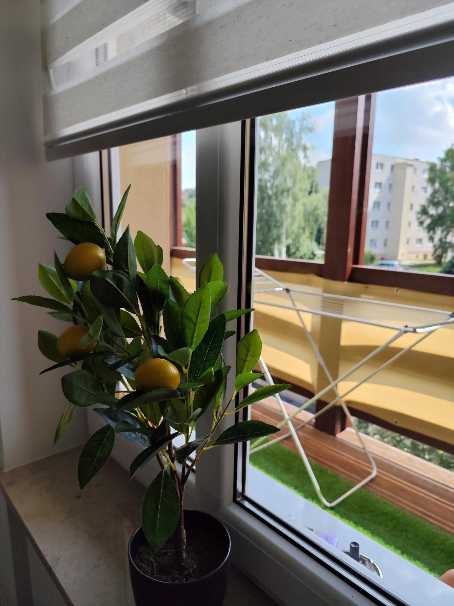 Cocon Zeitz Apartment Bagian luar foto